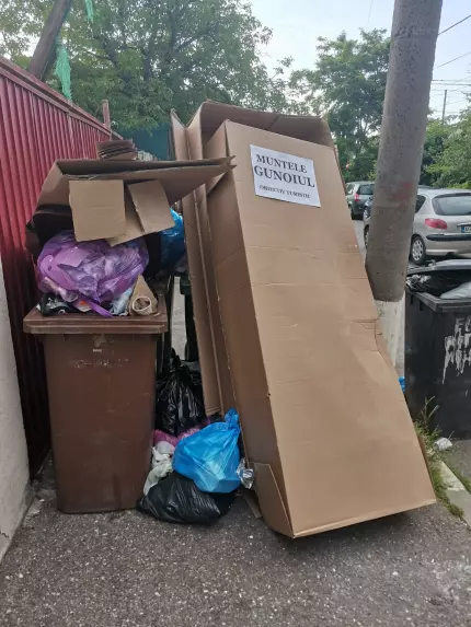 Politică, Gunoi și Groază Deșeuri pe străzile din sectorul 1