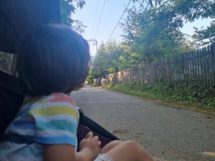Uliţa copilăriei e asfaltată, dar e pustie Uliţa copilăriei e asfaltată, dar e pustie